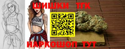 гидропоника Татарск